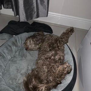 Meet your Posher, Juan